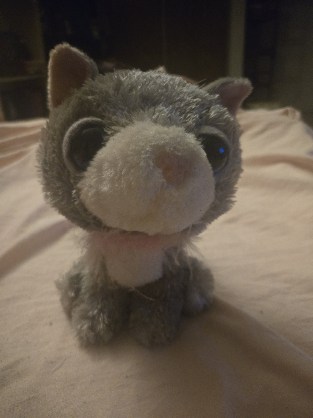 Gray and White Plush Small Cat - Soft Stuffed Animal